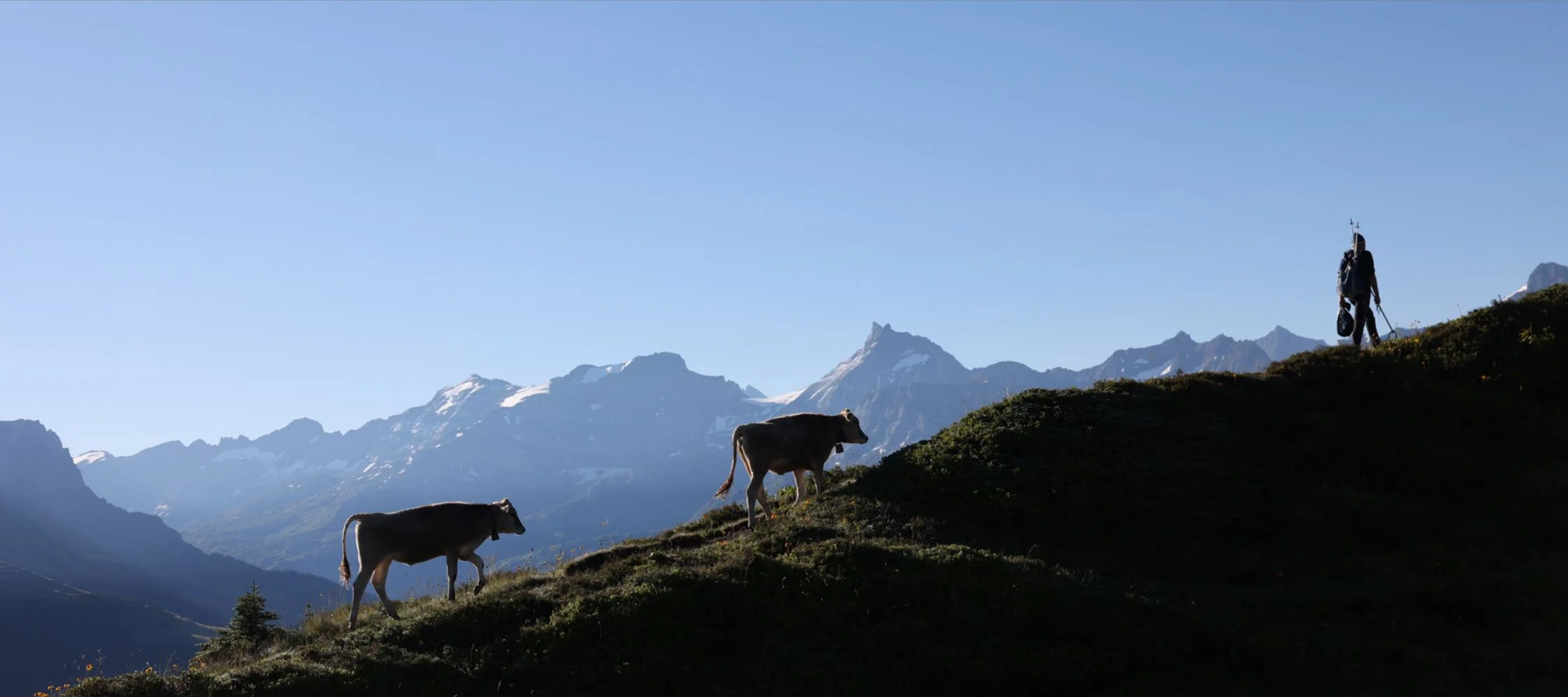 Alpine view over Eggberge